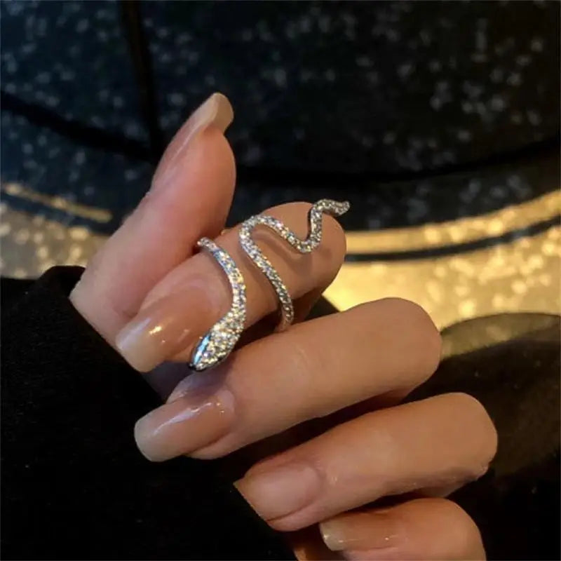 RAKOL Snake Ring Micro Inlaid Zircon Wound Small Female Simplicity Minority Designer Fashion Index Finger Ring